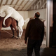 Equine love on Silicon Valley